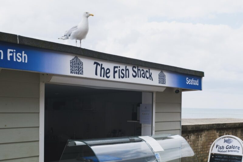 Fish Shack
